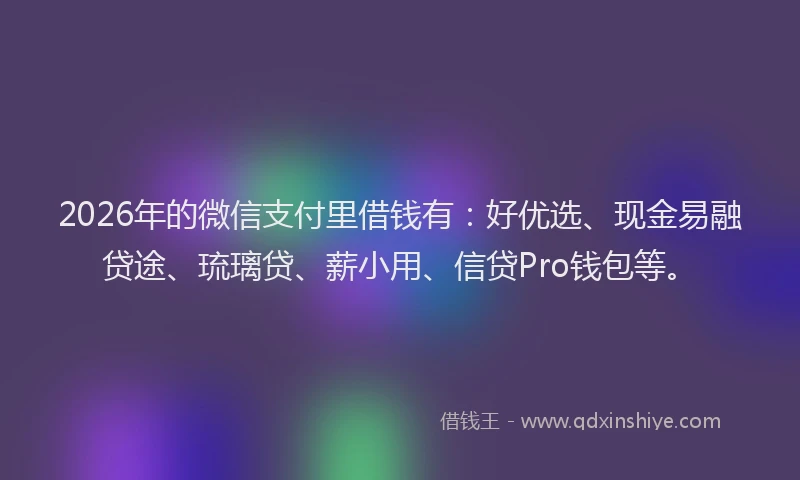2026年的微信支付里借钱有：好优选、现金易融贷途、琉璃贷、薪小用、信贷Pro钱包等。