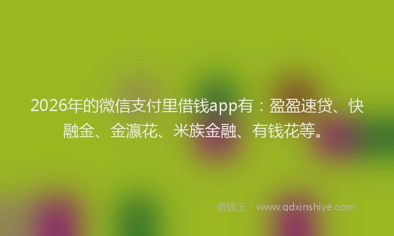 2026年的微信支付里借钱app有:盈盈速贷、快融金、金瀛花、米族金融、有钱花等。