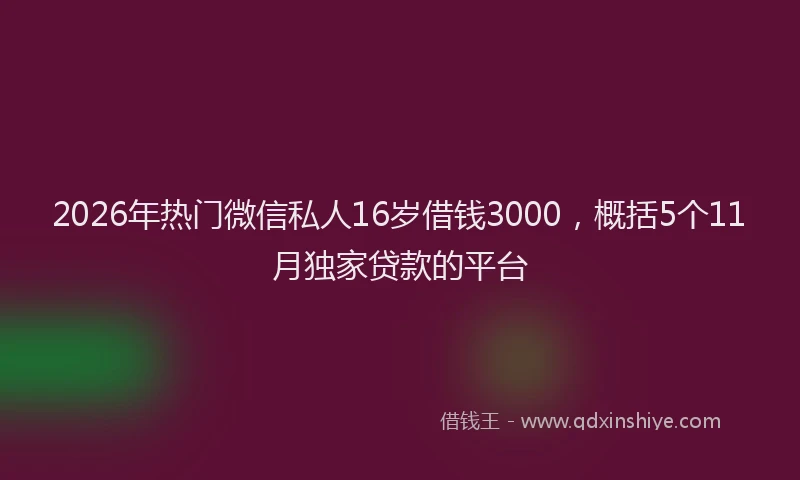 2026年热门微信私人16岁借钱3000，概括5个11月独家贷款的平台