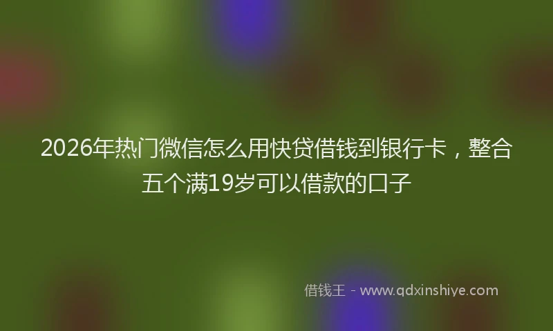 2026年热门微信怎么用快贷借钱到银行卡，整合五个满19岁可以借款的口子