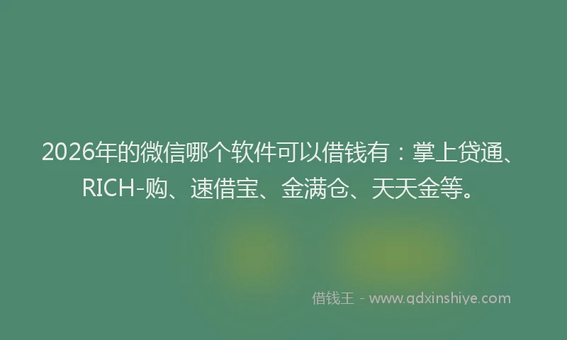 2026年的微信哪个软件可以借钱有:掌上贷通、RICH-购、速借宝、金满仓、天天金等。