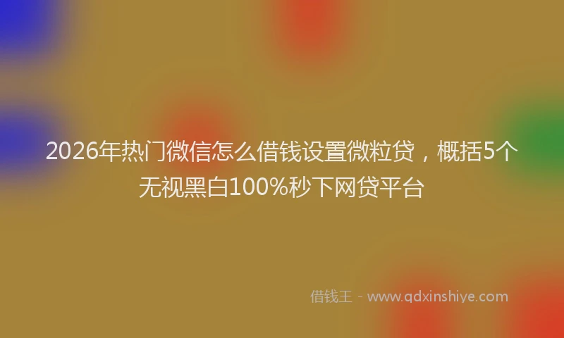 2026年热门微信怎么借钱设置微粒贷，概括5个无视黑白100%秒下网贷平台
