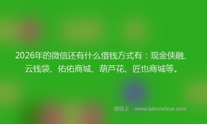 2026年的微信还有什么借钱方式有：现金侠融、云钱袋、佑佑商城、葫芦花、匠也商城等。
