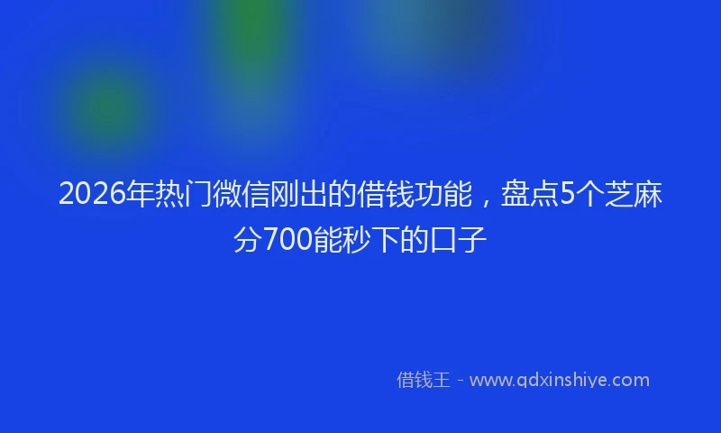 2026年热门微信刚出的借钱功能，盘点5个芝麻分700能秒下的口子