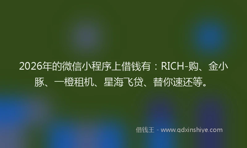 2026年的微信小程序上借钱有：RICH-购、金小豚、一橙租机、星海飞贷、替你速还等。