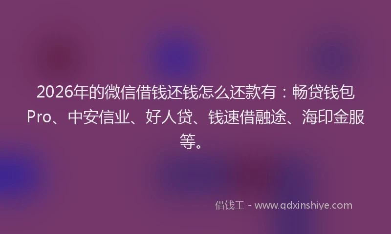 2026年的微信借钱还钱怎么还款有：畅贷钱包Pro、中安信业、好人贷、钱速借融途、海印金服等。