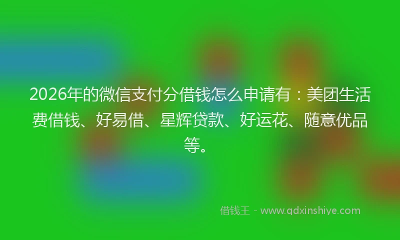 2026年的微信支付分借钱怎么申请有:美团生活费借钱、好易借、星辉贷款、好运花、随意优品等。