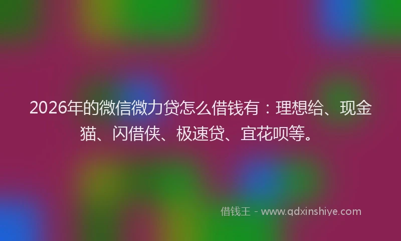 2026年的微信微力贷怎么借钱有:理想给、现金猫、闪借侠、极速贷、宜花呗等。