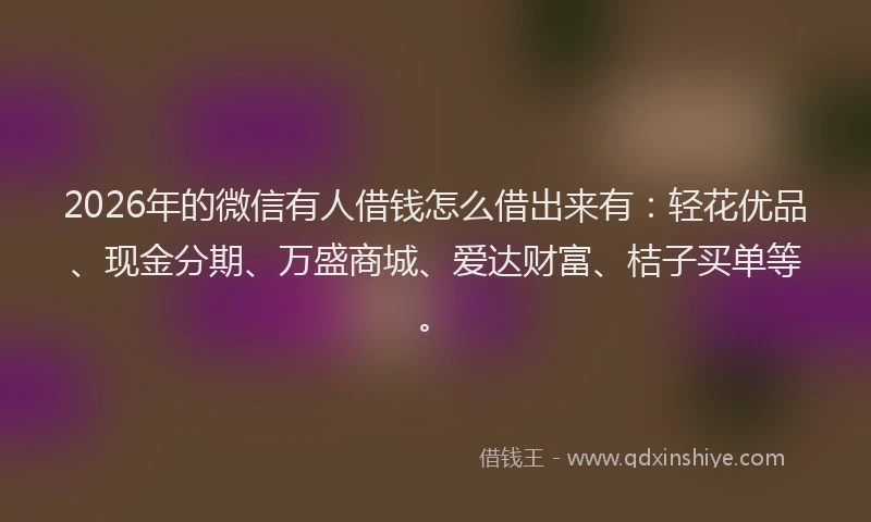 2026年的微信有人借钱怎么借出来有：轻花优品、现金分期、万盛商城、爱达财富、桔子买单等。
