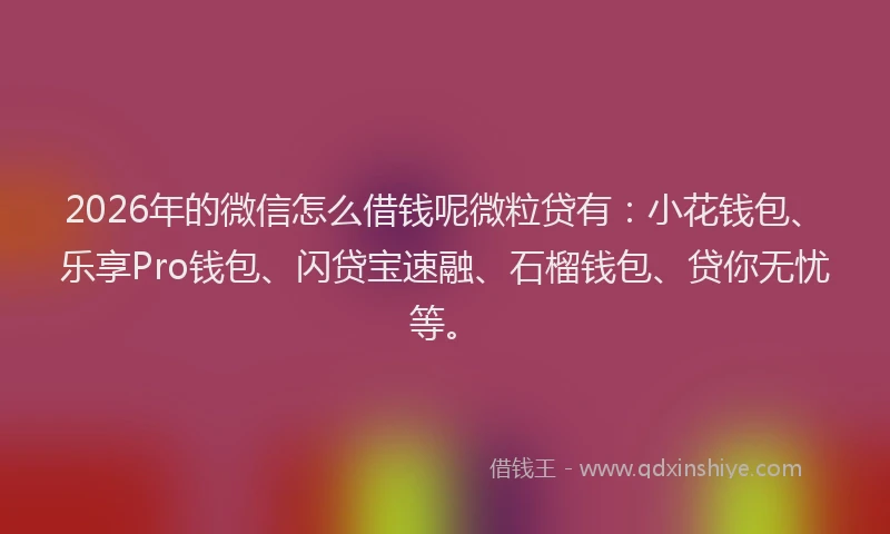 2026年的微信怎么借钱呢微粒贷有：小花钱包、乐享Pro钱包、闪贷宝速融、石榴钱包、贷你无忧等。