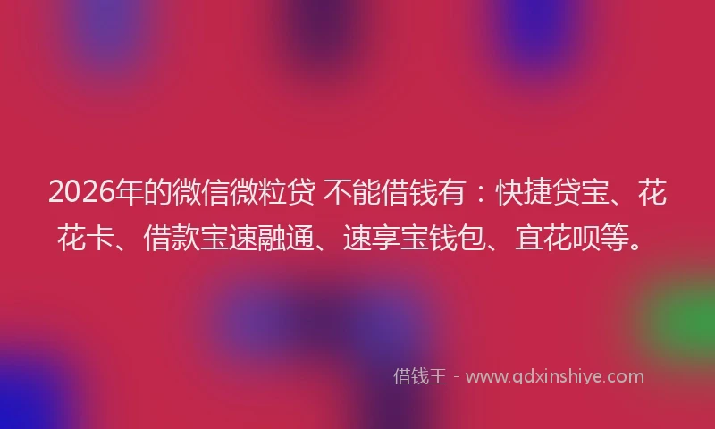 2026年的微信微粒贷 不能借钱有：快捷贷宝、花花卡、借款宝速融通、速享宝钱包、宜花呗等。
