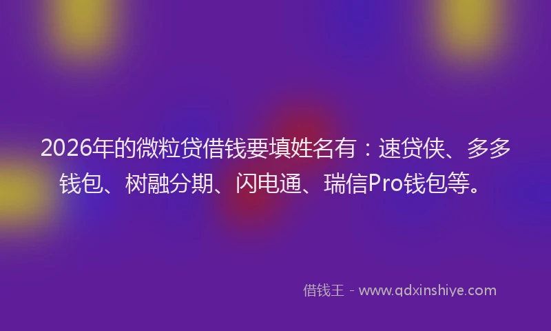2026年的微粒贷借钱要填姓名有：速贷侠、多多钱包、树融分期、闪电通、瑞信Pro钱包等。