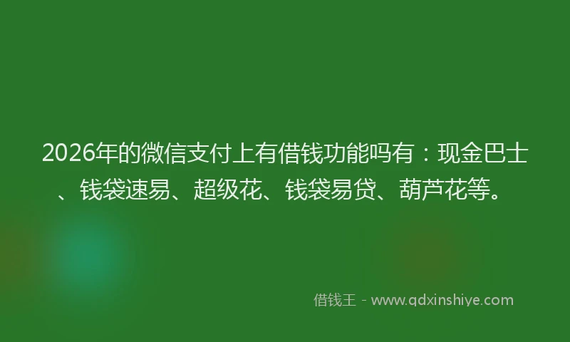 2026年的微信支付上有借钱功能吗有：现金巴士、钱袋速易、超级花、钱袋易贷、葫芦花等。
