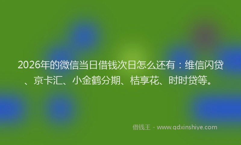 2026年的微信当日借钱次日怎么还有：维信闪贷、京卡汇、小金鹤分期、桔享花、时时贷等。