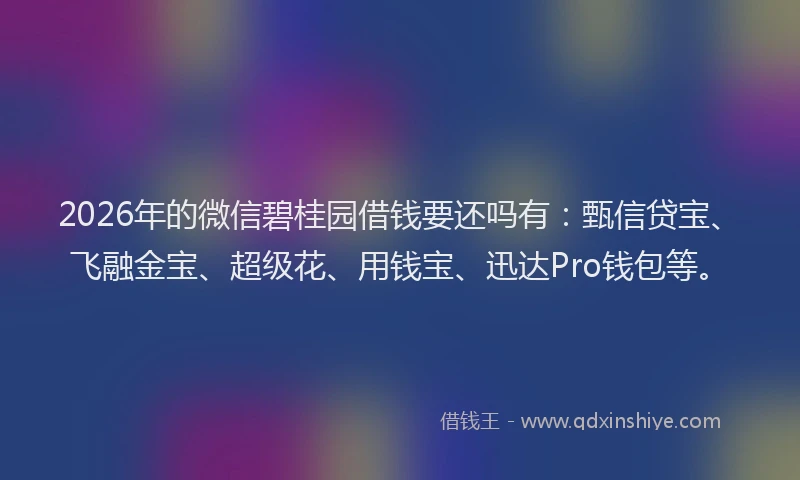 2026年的微信碧桂园借钱要还吗有：甄信贷宝、飞融金宝、超级花、用钱宝、迅达Pro钱包等。