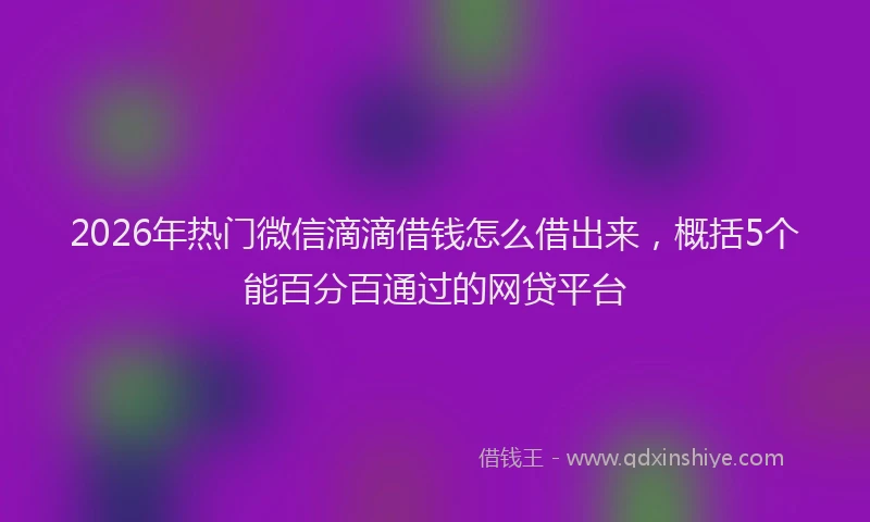 2026年热门微信滴滴借钱怎么借出来，概括5个能百分百通过的网贷平台