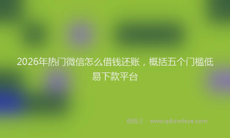 2026年热门微信怎么借钱还账，概括五个门槛低易下款平台