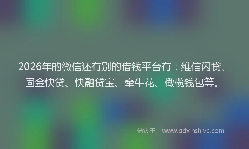 2026年的微信还有别的借钱平台有：维信闪贷、固金快贷、快融贷宝、牵牛花、橄榄钱包等。