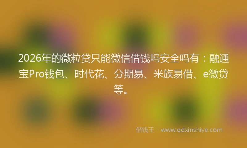 2026年的微粒贷只能微信借钱吗安全吗有：融通宝Pro钱包、时代花、分期易、米族易借、e微贷等。