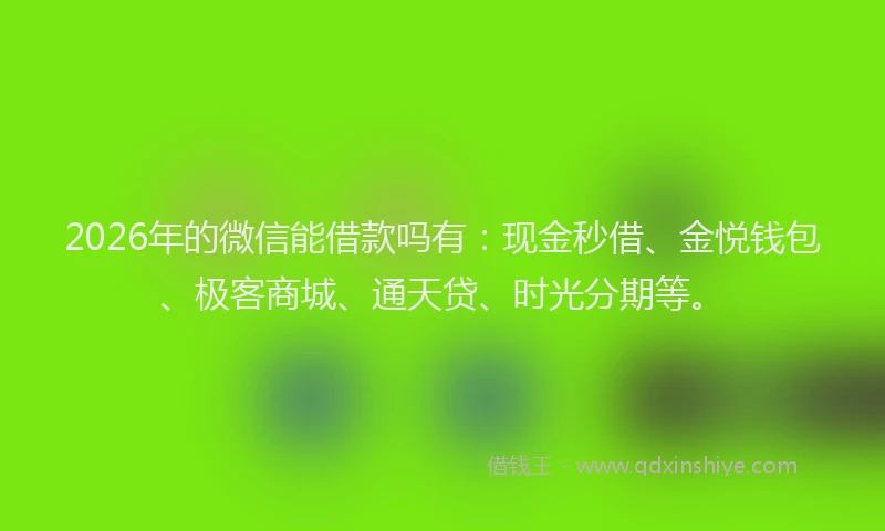 2026年的微信能借款吗有：现金秒借、金悦钱包、极客商城、通天贷、时光分期等。