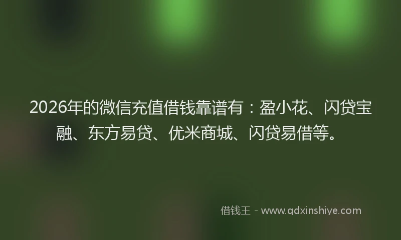 2026年的微信充值借钱靠谱有：盈小花、闪贷宝融、东方易贷、优米商城、闪贷易借等。