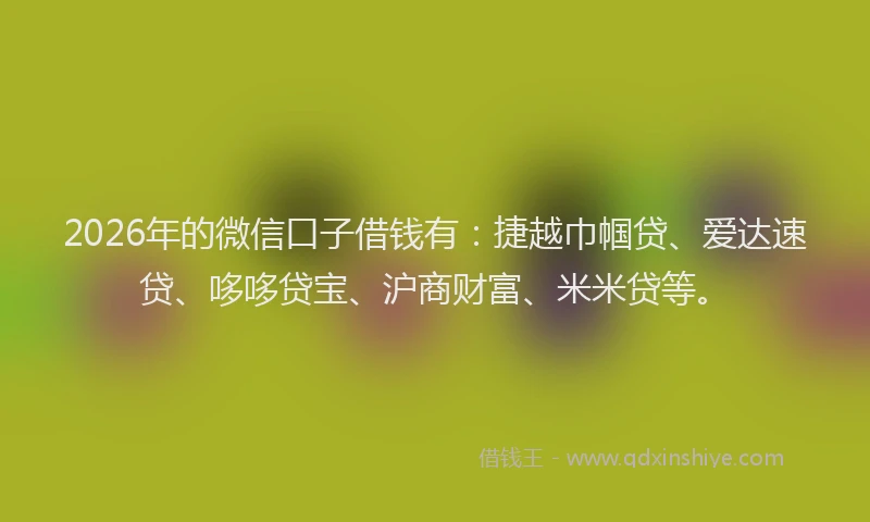 2026年的微信口子借钱有：捷越巾帼贷、爱达速贷、哆哆贷宝、沪商财富、米米贷等。