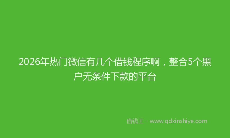 2026年热门微信有几个借钱程序啊，整合5个黑户无条件下款的平台