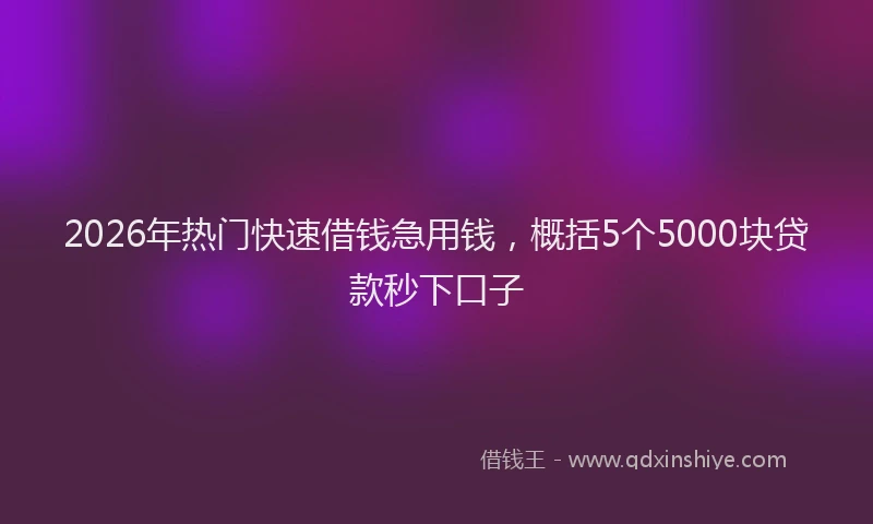 2026年热门快速借钱急用钱，概括5个5000块贷款秒下口子