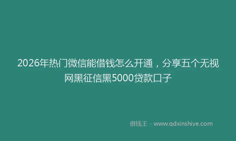 2026年热门微信能借钱怎么开通，分享五个无视网黑征信黑5000贷款口子