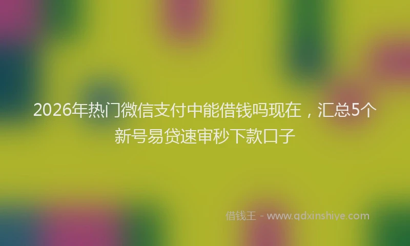 2026年热门微信支付中能借钱吗现在，汇总5个新号易贷速审秒下款口子