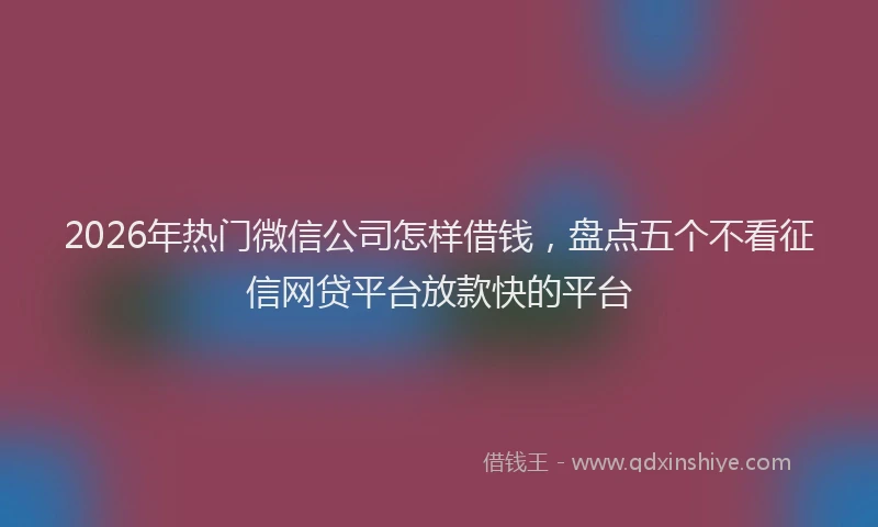 2026年热门微信公司怎样借钱，盘点五个不看征信网贷平台放款快的平台