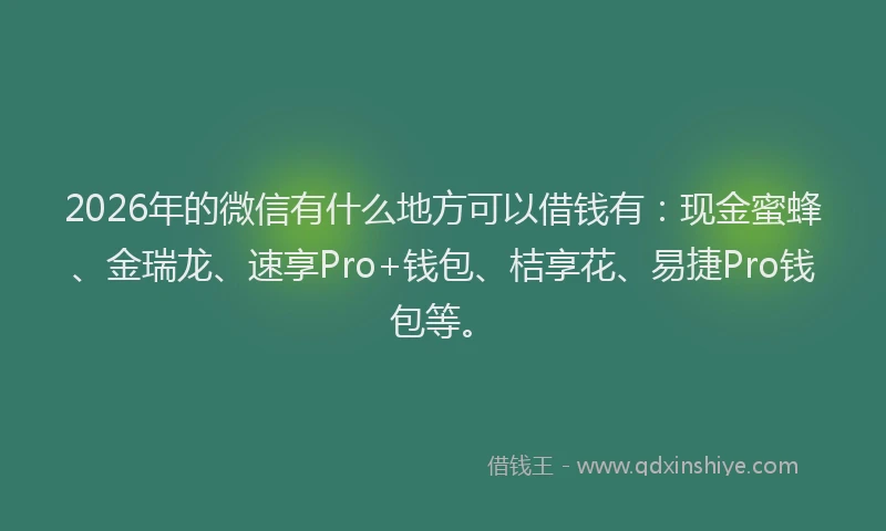 2026年的微信有什么地方可以借钱有：现金蜜蜂、金瑞龙、速享Pro+钱包、桔享花、易捷Pro钱包等。