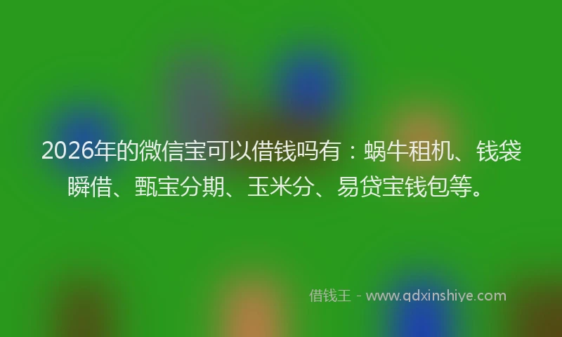 2026年的微信宝可以借钱吗有：蜗牛租机、钱袋瞬借、甄宝分期、玉米分、易贷宝钱包等。