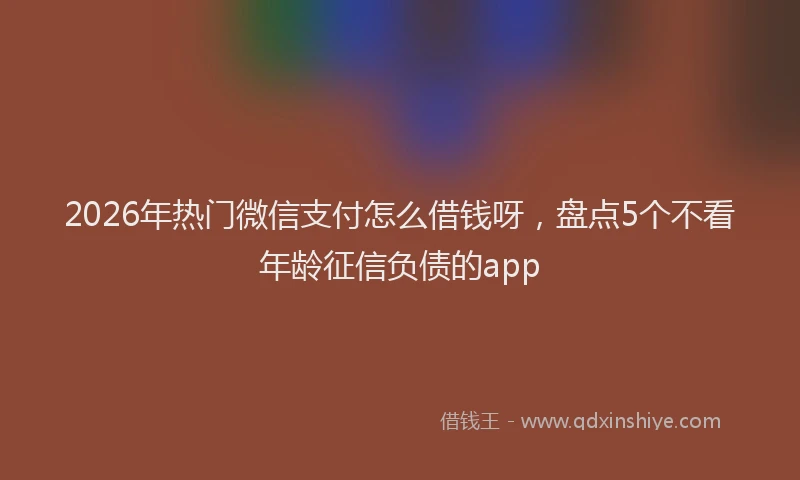 2026年热门微信支付怎么借钱呀，盘点5个不看年龄征信负债的app