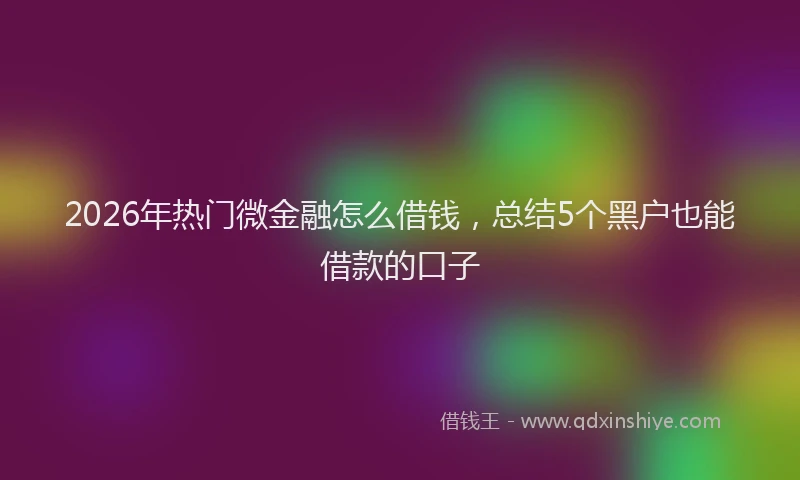 2026年热门微金融怎么借钱，总结5个黑户也能借款的口子