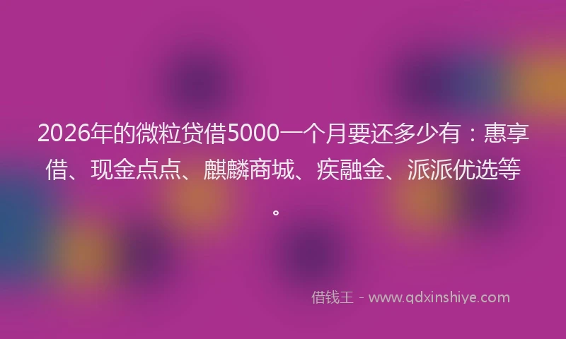 2026年的微粒贷借5000一个月要还多少有:惠享借、现金点点、麒麟商城、疾融金、派派优选等。