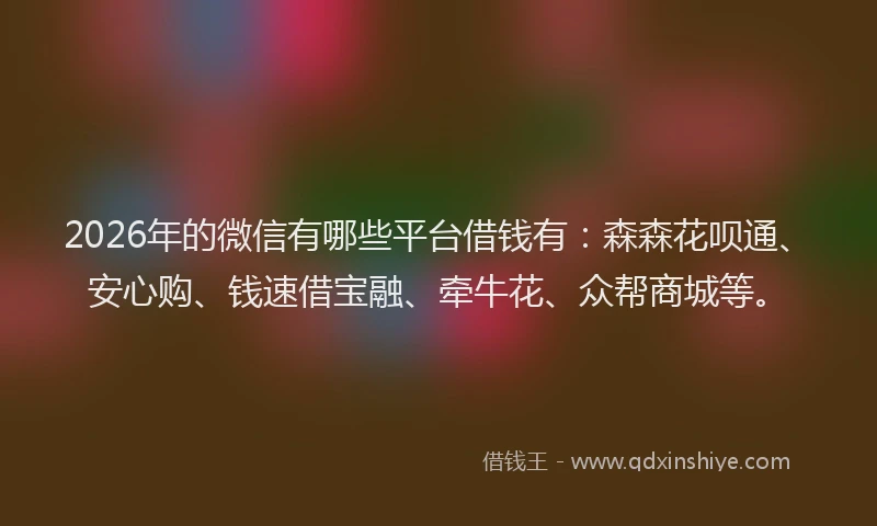 2026年的微信有哪些平台借钱有：森森花呗通、安心购、钱速借宝融、牵牛花、众帮商城等。