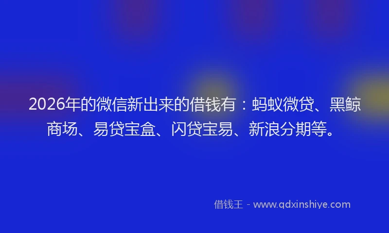 2026年的微信新出来的借钱有：蚂蚁微贷、黑鲸商场、易贷宝盒、闪贷宝易、新浪分期等。