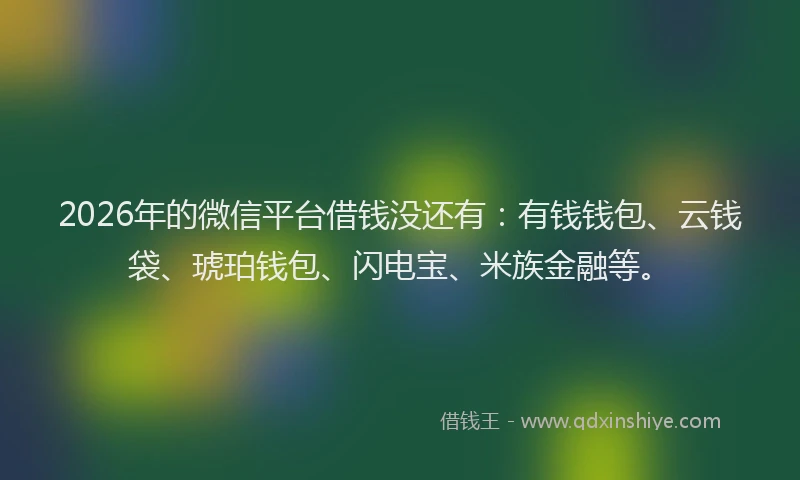 2026年的微信平台借钱没还有：有钱钱包、云钱袋、琥珀钱包、闪电宝、米族金融等。