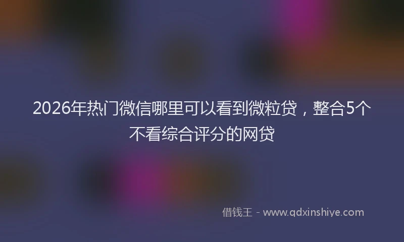 2026年热门微信哪里可以看到微粒贷，整合5个不看综合评分的网贷