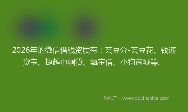 2026年的微信借钱资质有：芸豆分-芸豆花、钱速贷宝、捷越巾帼贷、甄宝借、小狗商城等。