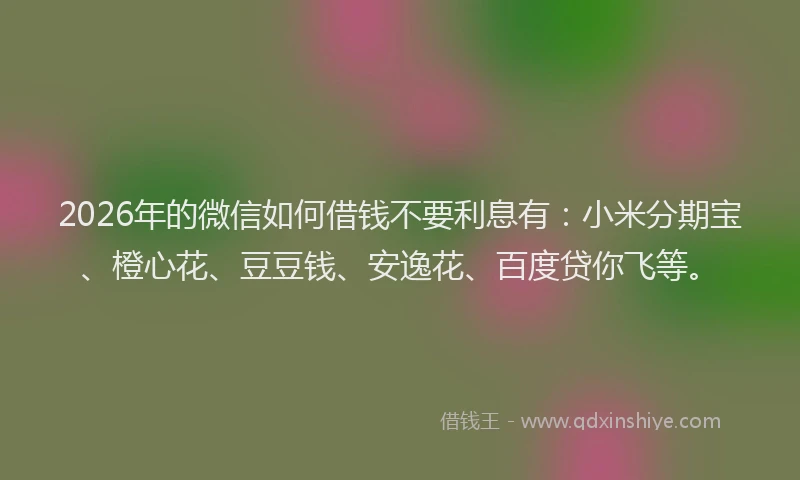 2026年的微信如何借钱不要利息有：小米分期宝、橙心花、豆豆钱、安逸花、百度贷你飞等。