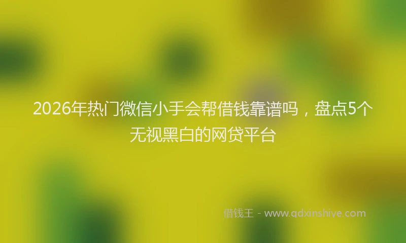 2026年热门微信小手会帮借钱靠谱吗，盘点5个无视黑白的网贷平台