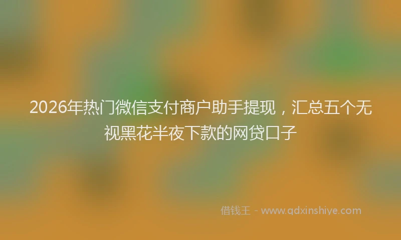 2026年热门微信支付商户助手提现，汇总五个无视黑花半夜下款的网贷口子