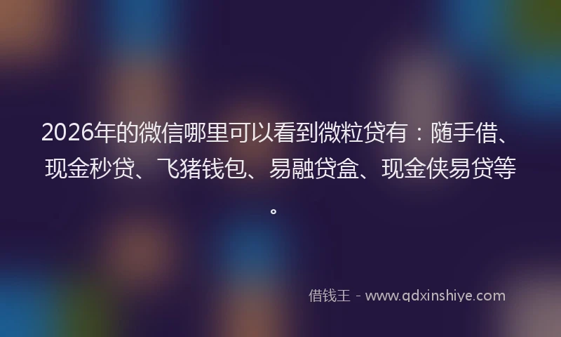 2026年的微信哪里可以看到微粒贷有：随手借、现金秒贷、飞猪钱包、易融贷盒、现金侠易贷等。