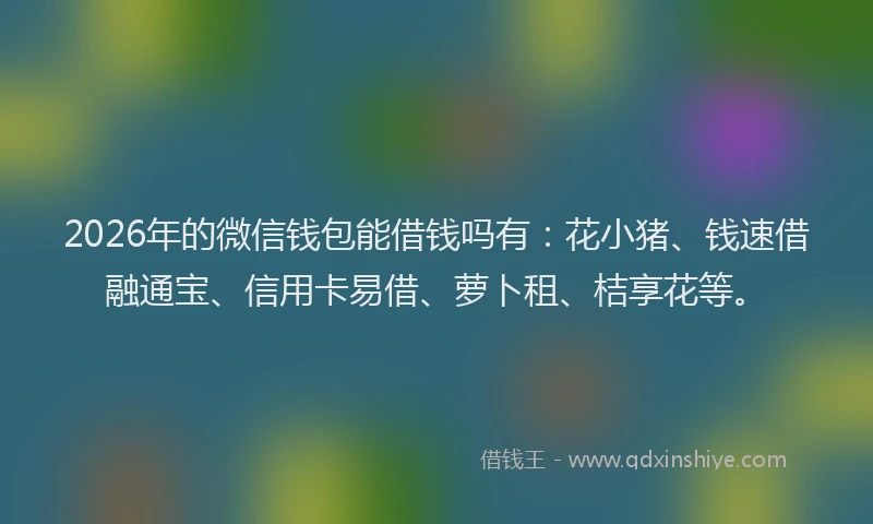 2026年的微信钱包能借钱吗有：花小猪、钱速借融通宝、信用卡易借、萝卜租、桔享花等。