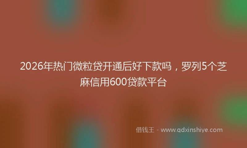 2026年热门微粒贷开通后好下款吗，罗列5个芝麻信用600贷款平台