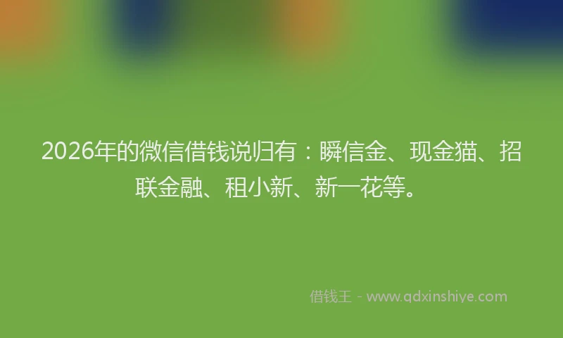 2026年的微信借钱说归有：瞬信金、现金猫、招联金融、租小新、新一花等。
