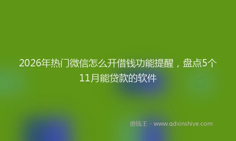 2026年热门微信怎么开借钱功能提醒，盘点5个11月能贷款的软件