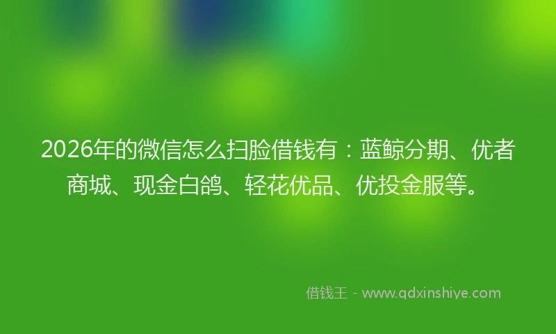 2026年的微信怎么扫脸借钱有:蓝鲸分期、优者商城、现金白鸽、轻花优品、优投金服等。